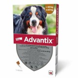 Advantix spot on 40-60 kg közötti kutyáknak AUV 4 x 6 ml