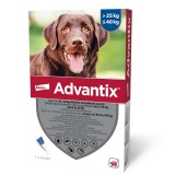 Advantix Spot On oldat kutyáknak A.U.V. 25 kg feletti kutyáknak (24 x 4,0 ml)
