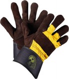 AERO Orinoco Parrot Bőrkesztyű 1024