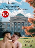 Ágenda Kiadó Kyle J. King: Love University - könyv
