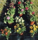 Agroszövet erős szőtt geotextília méterre