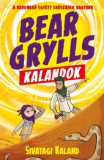 Aión Publishing Kft. Bear Grylls: Bear Grylls kalandok - Sivatagi kaland - könyv