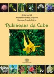 Akadémiai Kiadó Dr. Borhidi Attila, Ramona Oviedo-Prieto, Maira Fernández-Zequeira: Rubiáceas de Cuba - könyv