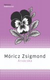 Akkord Kiadó Móricz Zsigmond: Árvácska - könyv