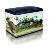 Akvárium CLASSICA ECO 60 LED világítással - fekete, 63L