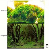 Akvárium Háttérpapír, Kétoldalas Akvárium Dekoratív Háttér 30 x 50 cm