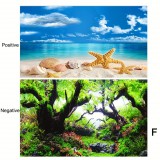 Akvárium Háttérpapír, Kétoldalas Akvárium Dekoratív Háttér 30 x 50 cm