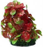 Akváriumi műnövény zöld és piros vesealakú levelekkel kicsi zöld levelekkel a talpán 25 cm
