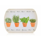 Alátét Zöldfűszeres 12521007