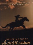 Alexandra kiadó Bruce Machart: A múlt sebei - könyv