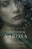 Alexandra kiadó David R. Gillham: Asszonyok városa - könyv