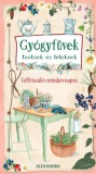 Alexandra Könyvesház Kft. Hazel Gaynor: Gyógyfüvek testnek és léleknek - könyv