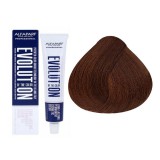 Alfaparf Evolution of the Color CUBE hajfesték 6.4