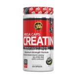 All Stars Creatine Caps (240 kap.)