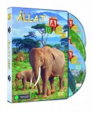 Állat ABC 1-3. díszdoboz - DVD