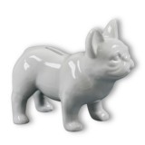 Álló francia bulldog persely, fehér