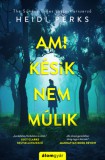 Álomgyár Kiadó Heidi Perks: Ami késik, nem múlik - könyv