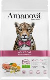 AmaNova Cat LG Adult Salmon Deluxe 4 kg