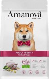 AmaNova Dog Adult Obesity All Breeds Turkey Delight 2 kg