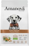 AmaNova Dog LG Medium Puppy Exquisite Chicken & Quinoa 10 kg