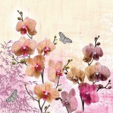 Ambiente Orchid Orient papírszalvéta 33x33cm,20db-os