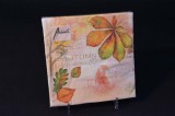 Ambiente Őszi papírszalvéta őszi falevelekkel 33x33 cm 20 db