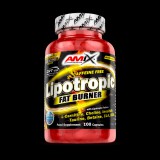 Amix Lipotropic Fat Burner (100 kap.)