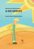 AMTAK Bt. A kis herceg