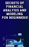Andrei Besedin: Secrets of Financial Analysis and Modelling For Beginners - könyv