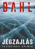 Animus Kiadó Arne Dahl: Jégzajlás - könyv