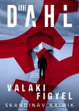 Animus Kiadó Dahl, Arne: Valaki figyel - könyv