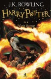 Animus Kiadó J. K. Rowling: Harry Potter és a Félvér Herceg - könyv