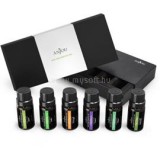 ANJOU AJ-ES001 6-féle illat, illóolaj csomag (10-20001-191)