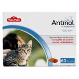 Antinol takarmánykiegészítő kapszula macskáknak 60 db