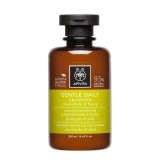 APIVITA Sampon gyakori hajmosáshoz 250ml