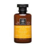 APIVITA Sampon száraz vagy töredezett hajra 250ml