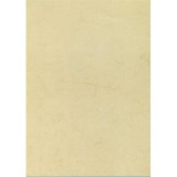 APLI A4 200 g havanna színű előnyomott papír (10 lap)
