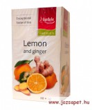Apotheke - Citrom és Gyömbér Tea, 20 filter - Premier Selection
