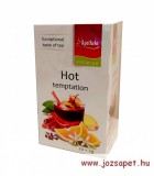 Apotheke "Forró csábítás" fűszeres gyümölcstea, 20 filter, Premier Selection