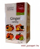Apotheke - Gyömbér Variációk, Vegyes Gyümölcs Tea, 4*5 filter - Premier Selection