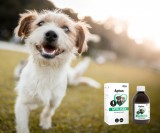 Aptus Apto-Flex ízületvédő szirup kutyáknak 200 ml