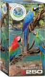 Ara Papagájok, 250 db-os puzzle (EUROGRAPHICS,8251-5588)