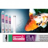 ARCADIA Fénycső UV lámpába T8 25 W