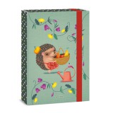 Ars Una: Apple Pie sünis A4 füzetbox