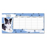 Ars Una Cuki állatok órarend, 23x11 cm, kétoldalas, Border Collie