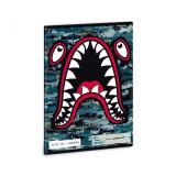 Ars Una: Flying Shark 1. osztályos füzet - A5