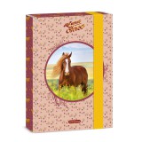 Ars Una: My Sweet Horse A5 füzetbox