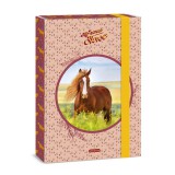 Ars Una: My Sweet Horse Lovas A4 füzetbox