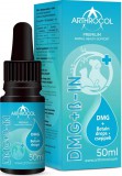 Arthrocol DMG betaine oldat 50 ml