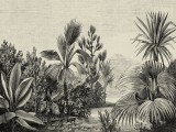 AS Fotótapéta, Fekete-fehér dzsungel, Prémium, 371x280 cm